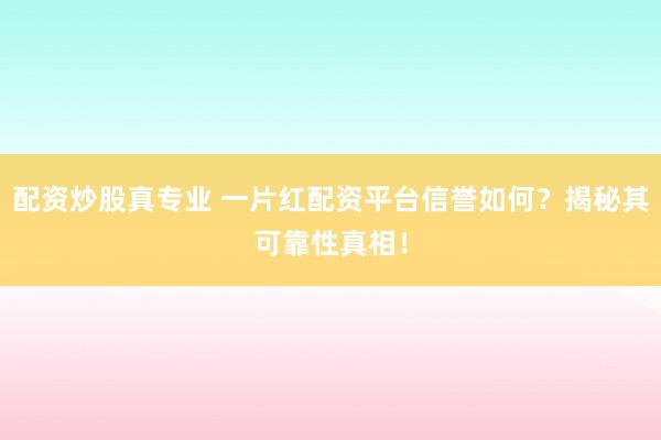 配资炒股真专业 一片红配资平台信誉如何？揭秘其可靠性真相！