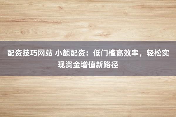 配资技巧网站 小额配资：低门槛高效率，轻松实现资金增值新路径