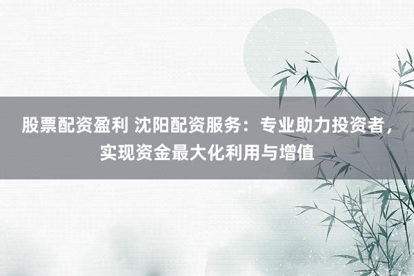 股票配资盈利 沈阳配资服务：专业助力投资者，实现资金最大化利用与增值