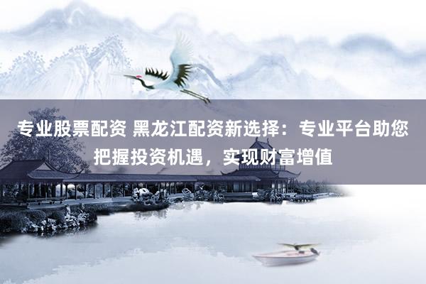专业股票配资 黑龙江配资新选择：专业平台助您把握投资机遇，实现财富增值