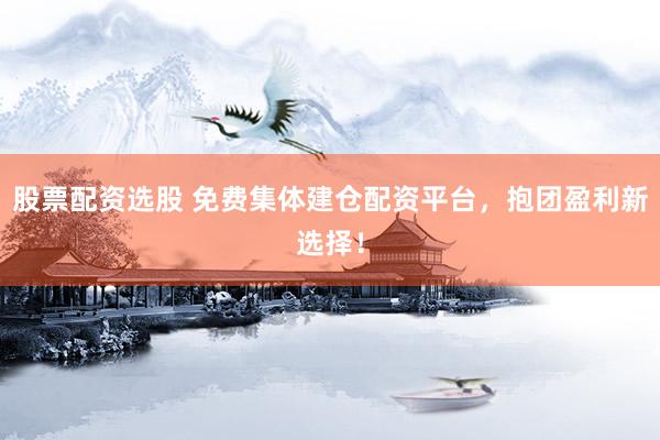 股票配资选股 免费集体建仓配资平台，抱团盈利新选择！