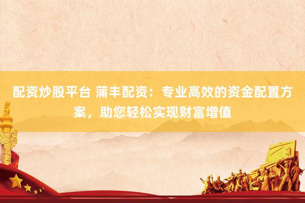 配资炒股平台 蒲丰配资：专业高效的资金配置方案，助您轻松实现财富增值