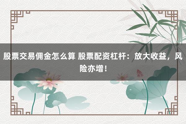 股票交易佣金怎么算 股票配资杠杆：放大收益，风险亦增！