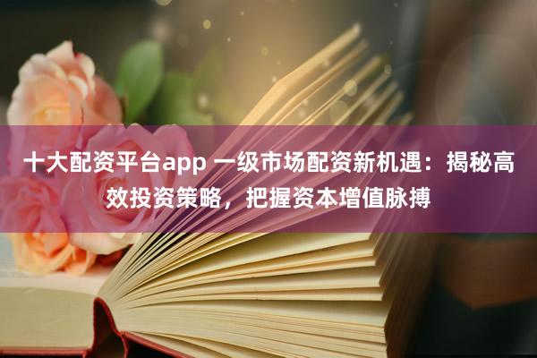十大配资平台app 一级市场配资新机遇：揭秘高效投资策略，把握资本增值脉搏