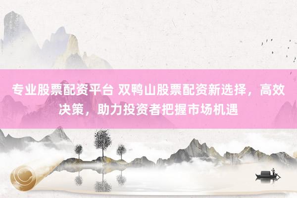 专业股票配资平台 双鸭山股票配资新选择，高效决策，助力投资者把握市场机遇