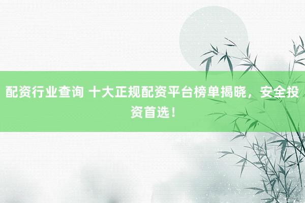 配资行业查询 十大正规配资平台榜单揭晓，安全投资首选！