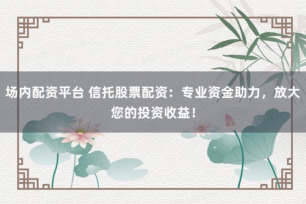 场内配资平台 信托股票配资：专业资金助力，放大您的投资收益！