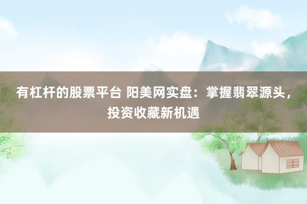 有杠杆的股票平台 阳美网实盘：掌握翡翠源头，投资收藏新机遇