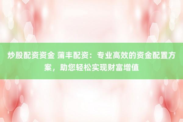 炒股配资资金 蒲丰配资：专业高效的资金配置方案，助您轻松实现财富增值