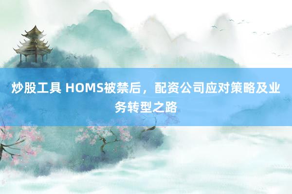 炒股工具 HOMS被禁后,配资公司应对策略及业务转型之路