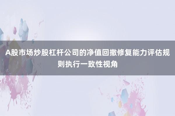 A股市场炒股杠杆公司的净值回撤修复能力评估规则执行一致性视角