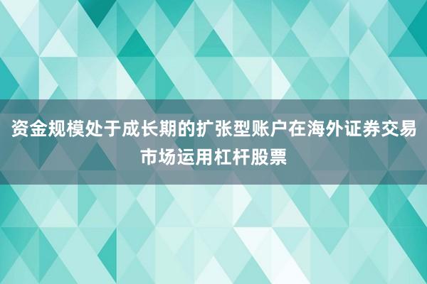 资金规模处于成长期的扩张型账户在海外证券交易市场运用杠杆股票