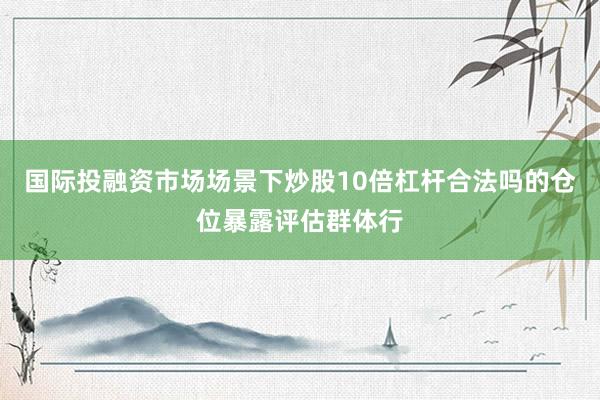 国际投融资市场场景下炒股10倍杠杆合法吗的仓位暴露评估群体行