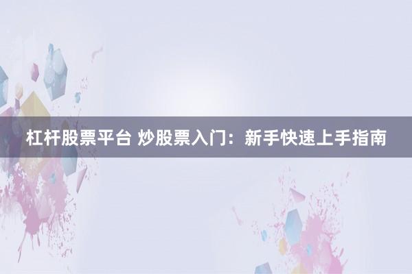 杠杆股票平台 炒股票入门：新手快速上手指南